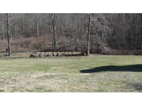 5206 Back Valley Road Big Stone Gap, VA 24219 - Photo 2 of 4 Acreage