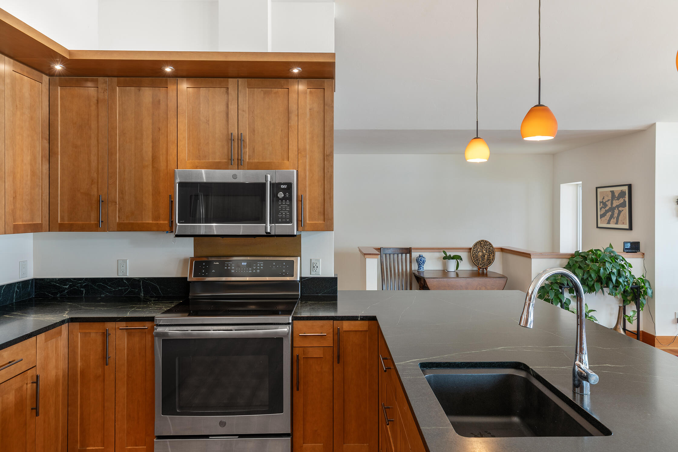 30 Whiteley Road Placerville, CO 81430 - Photo 17 of 78 ML Kitchen 3