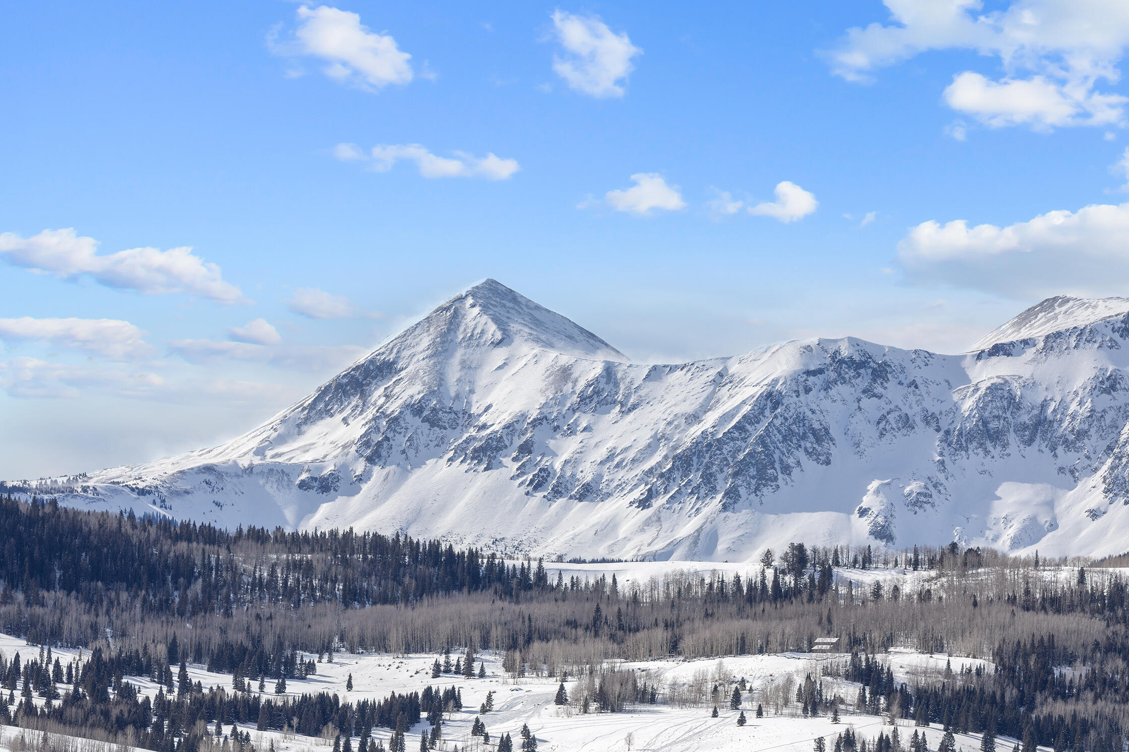 30 Whiteley Road Placerville, CO 81430 - Photo 51 of 78 C12A5916