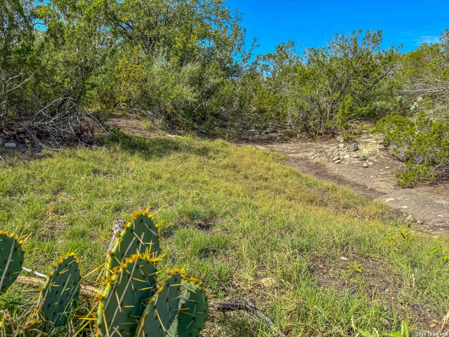 0 West Cooper Road Comstock, TX 78837 - Photo 12 of 49 a view of backyard with green space