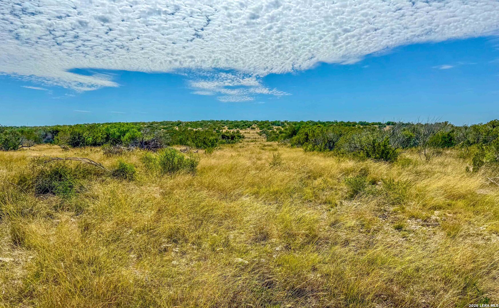 0 West Cooper Road Comstock, TX 78837 - Photo 13 of 49 a view of lake with beach