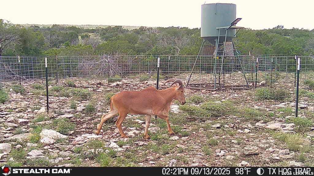 0 West Cooper Road Comstock, TX 78837 - Photo 40 of 49 a view of a yard with a sink