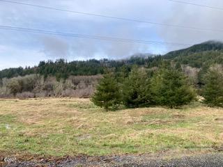 Three Three Rivers Highway Hebo, OR 97122 - Photo 9 of 11 hunt tree2