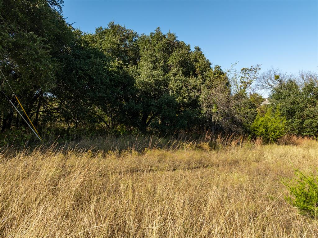 42018 Preston Trail Whitney, TX 76692 - Photo 2 of 29 a view of a lake view