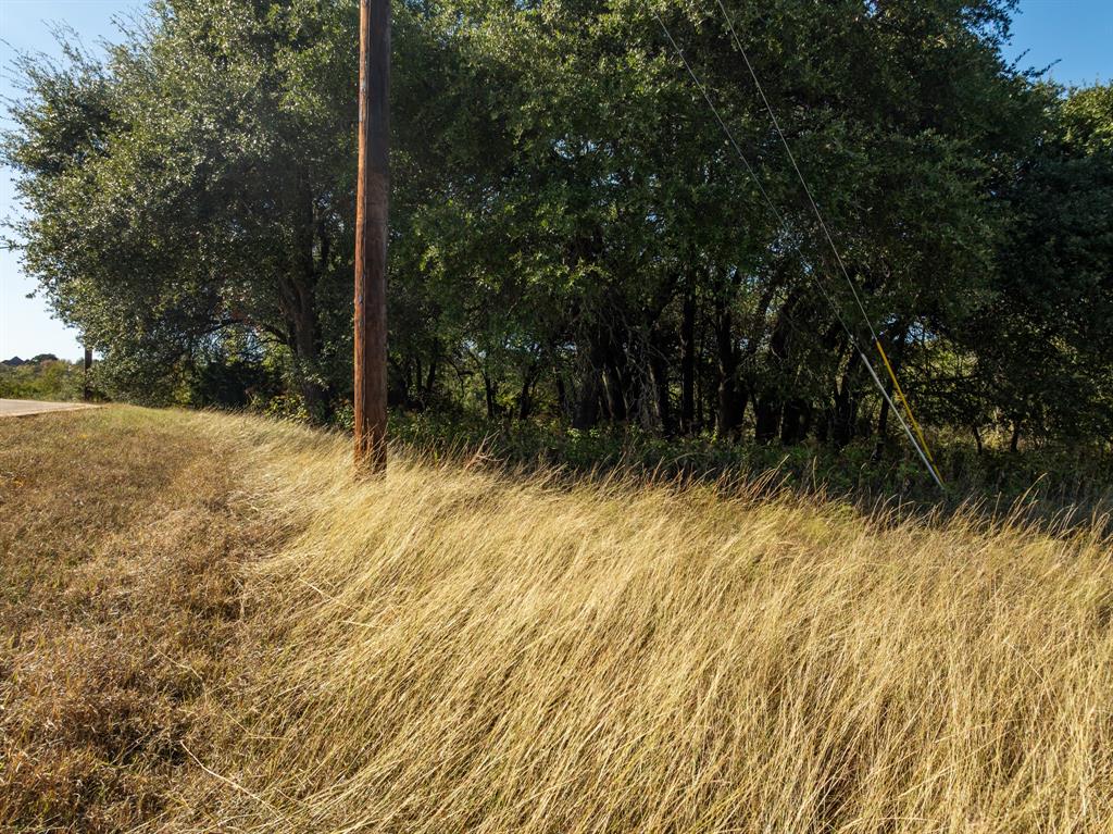 42018 Preston Trail Whitney, TX 76692 - Photo 3 of 29 a view of backyard of green space