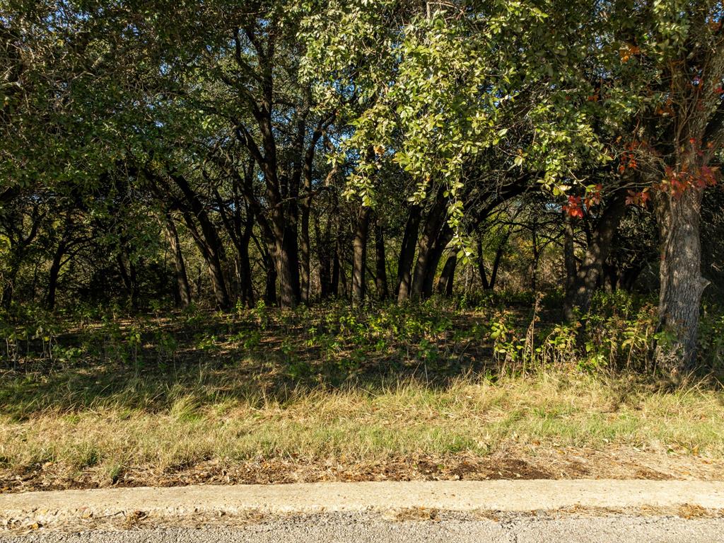42018 Preston Trail Whitney, TX 76692 - Photo 4 of 29 a view of a yard