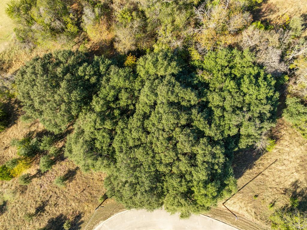 42018 Preston Trail Whitney, TX 76692 - Photo 5 of 29 a view of a yard