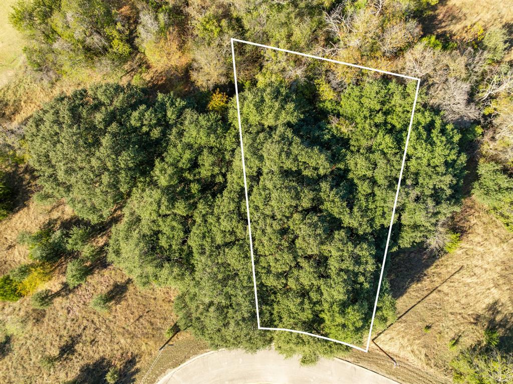 42018 Preston Trail Whitney, TX 76692 - Photo 9 of 29 a view of a yard