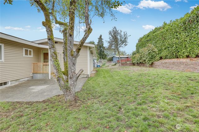 a view of a yard with plants and trees