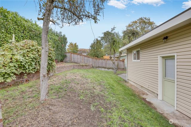 a view of a backyard with a tree