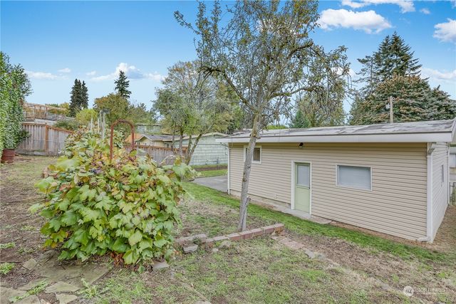 a view of a backyard