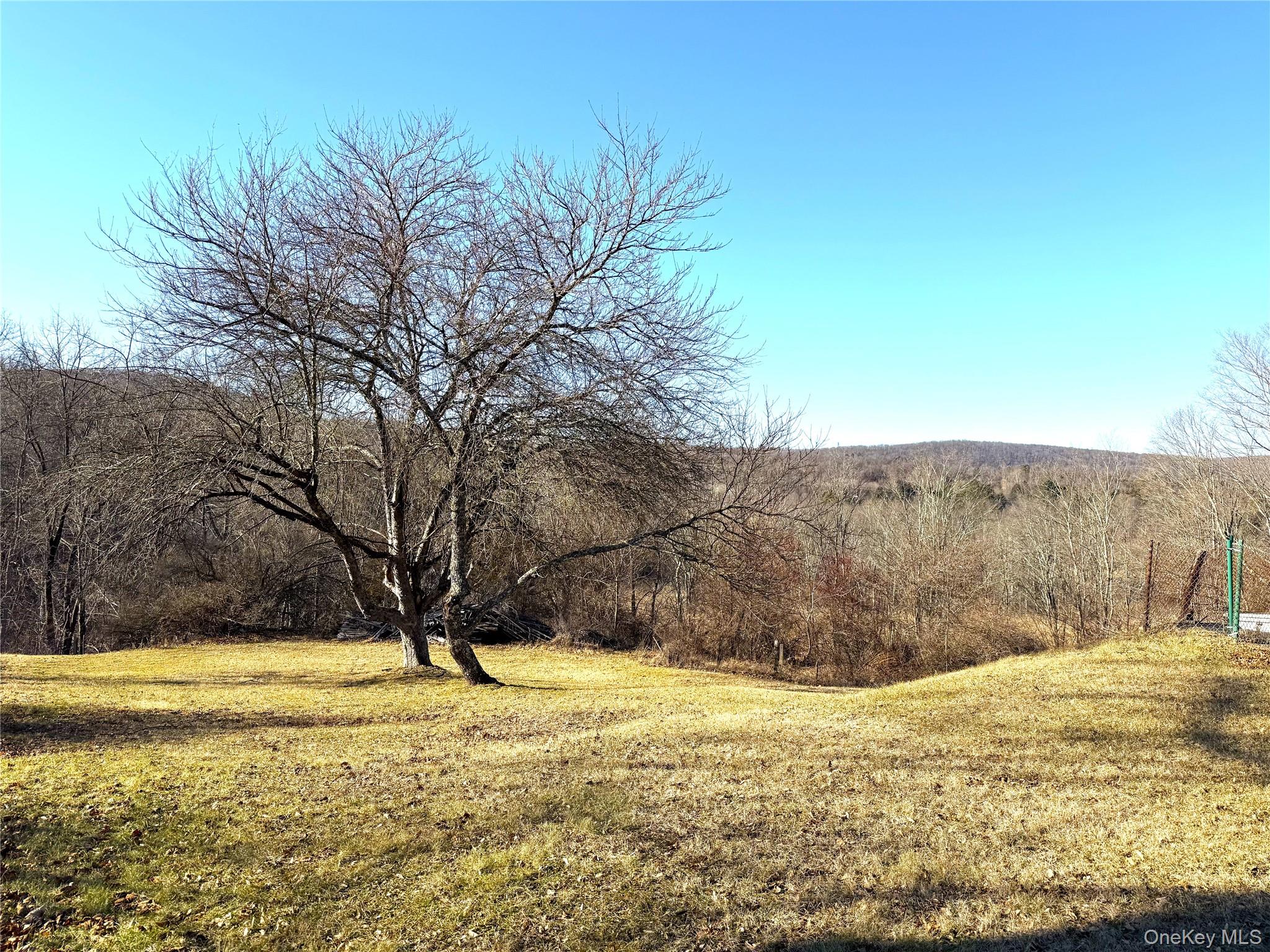 40 Walnut Street Pawling, NY 12564 - Photo 22 of 27 a view of a yard with trees in the background