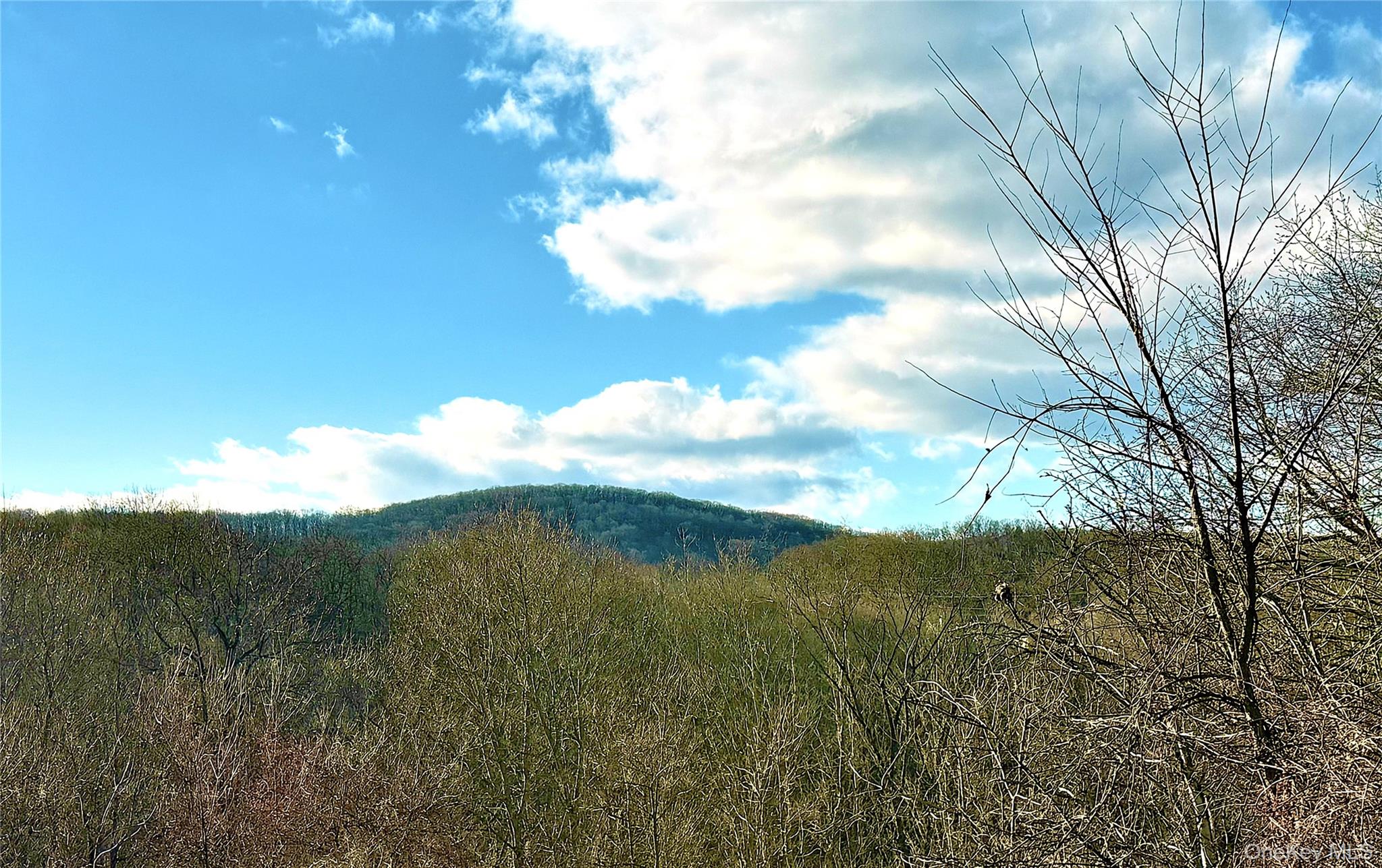 40 Walnut Street Pawling, NY 12564 - Photo 10 of 23 WESTERN VIEW PROMISES BEAUTIFUL SUNSETS!