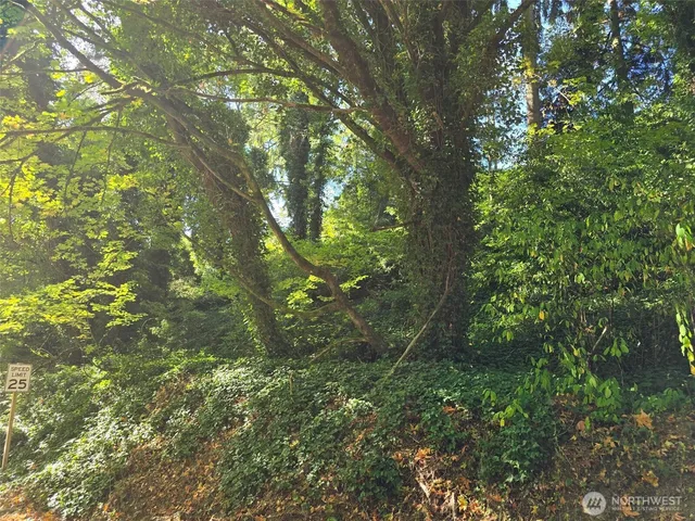 $60,000 | 0 37th Place South, Seattle, WA 98198