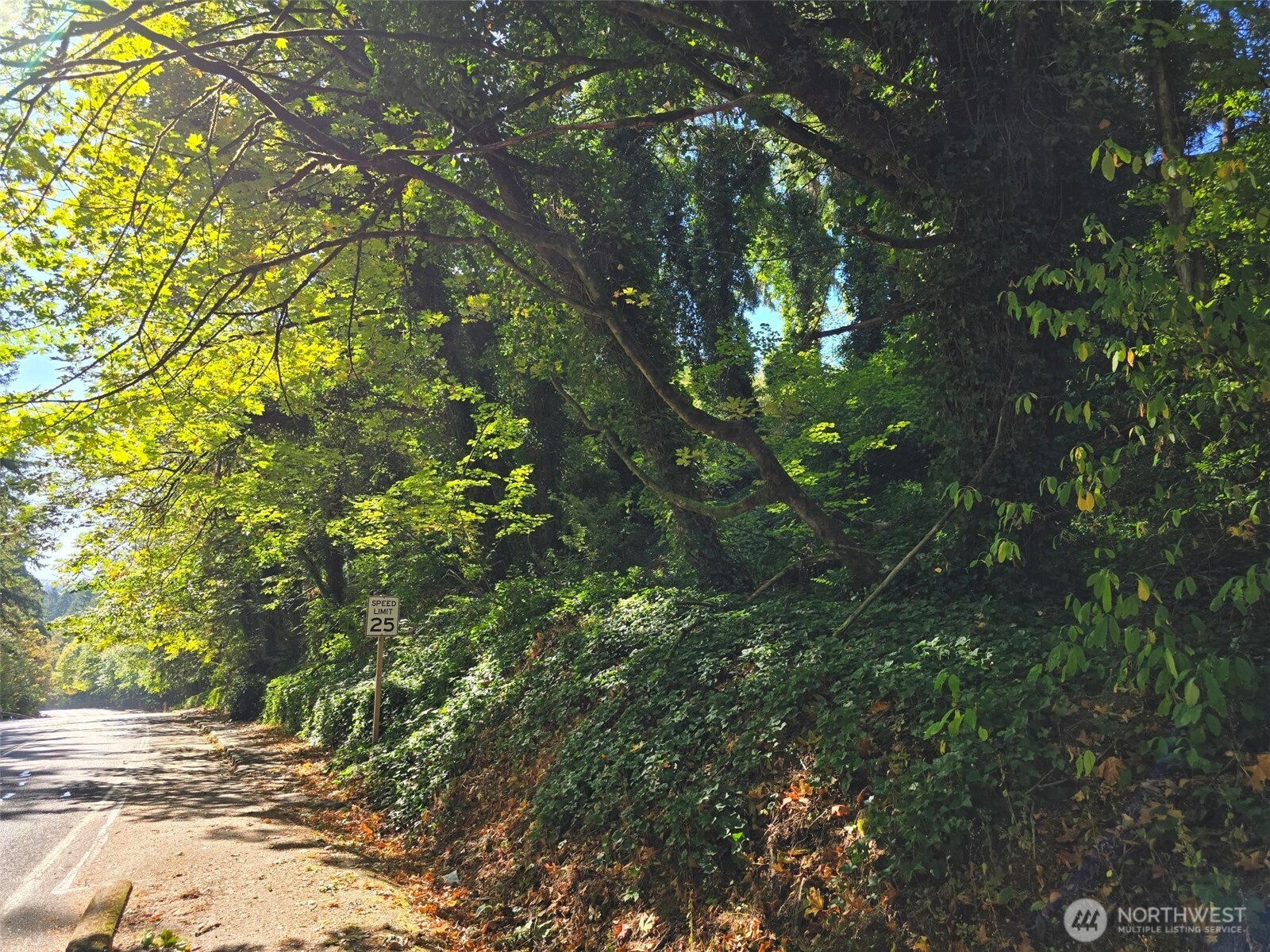 0 37th Place South Seattle, WA 98198 - Photo 4 of 5