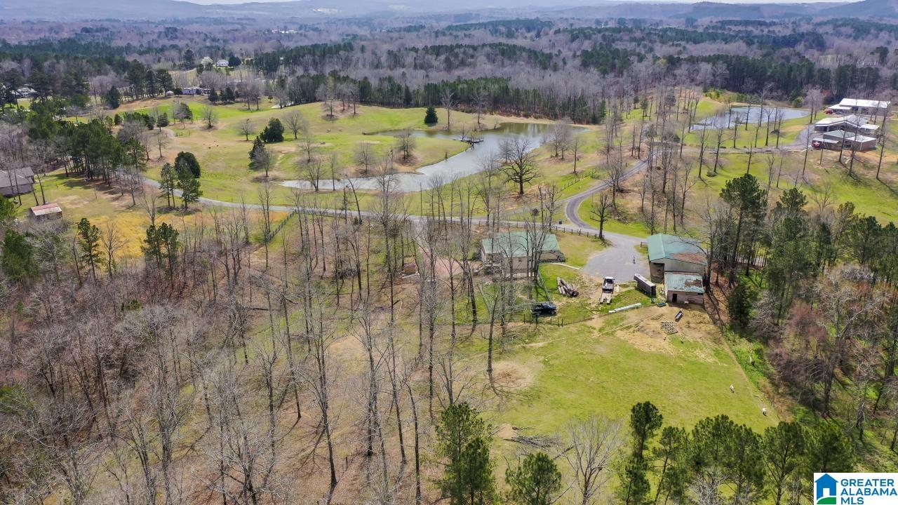615 Hilton Drive Cleveland, AL 35049 - Photo 8 of 50