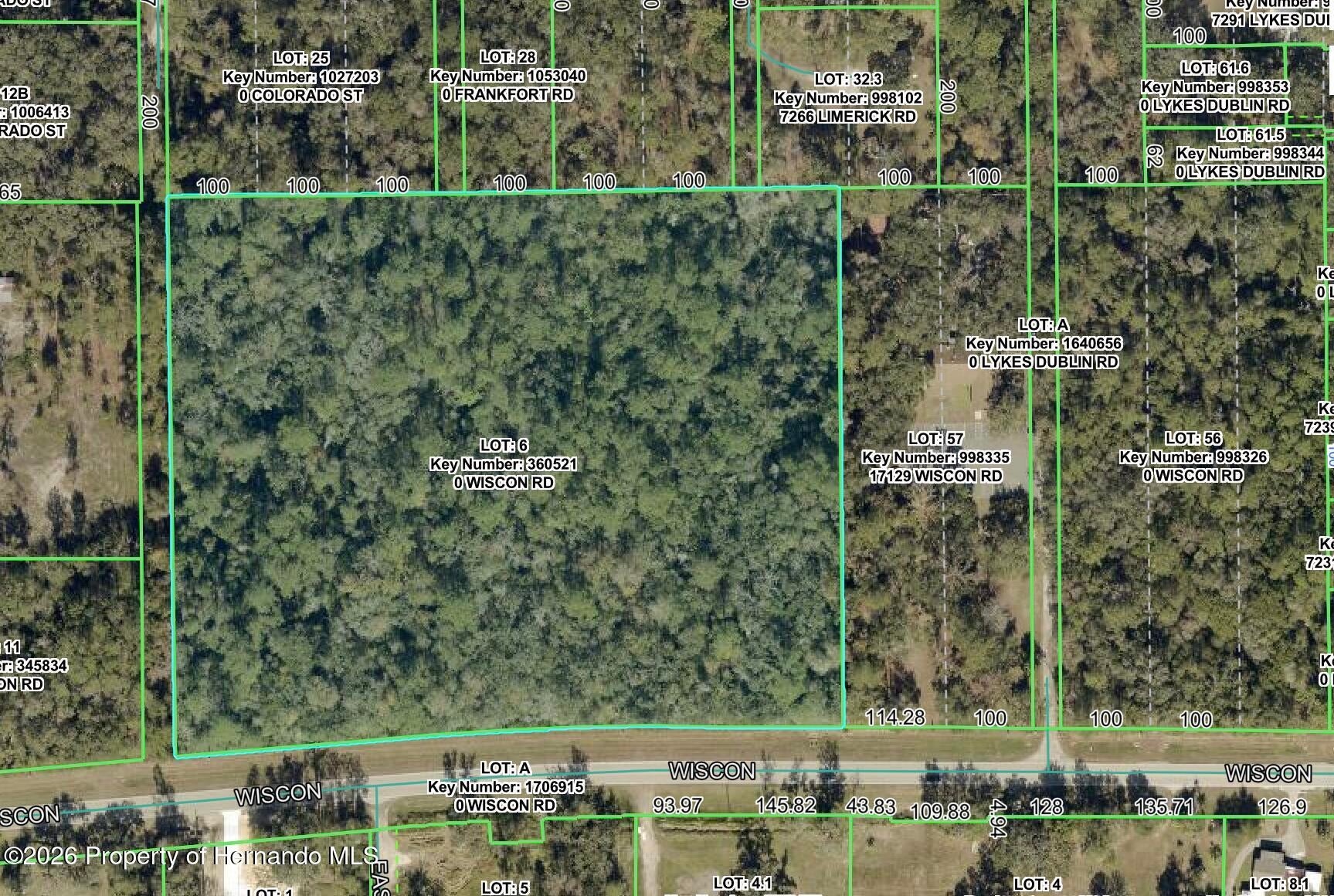 10.3-acres Wiscon Road Brooksville, FL 34601 - Photo 10 of 10 Gallery Image 10