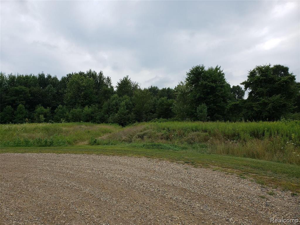 11 Maplefield Byron, MI 48418 - Photo 3 of 15