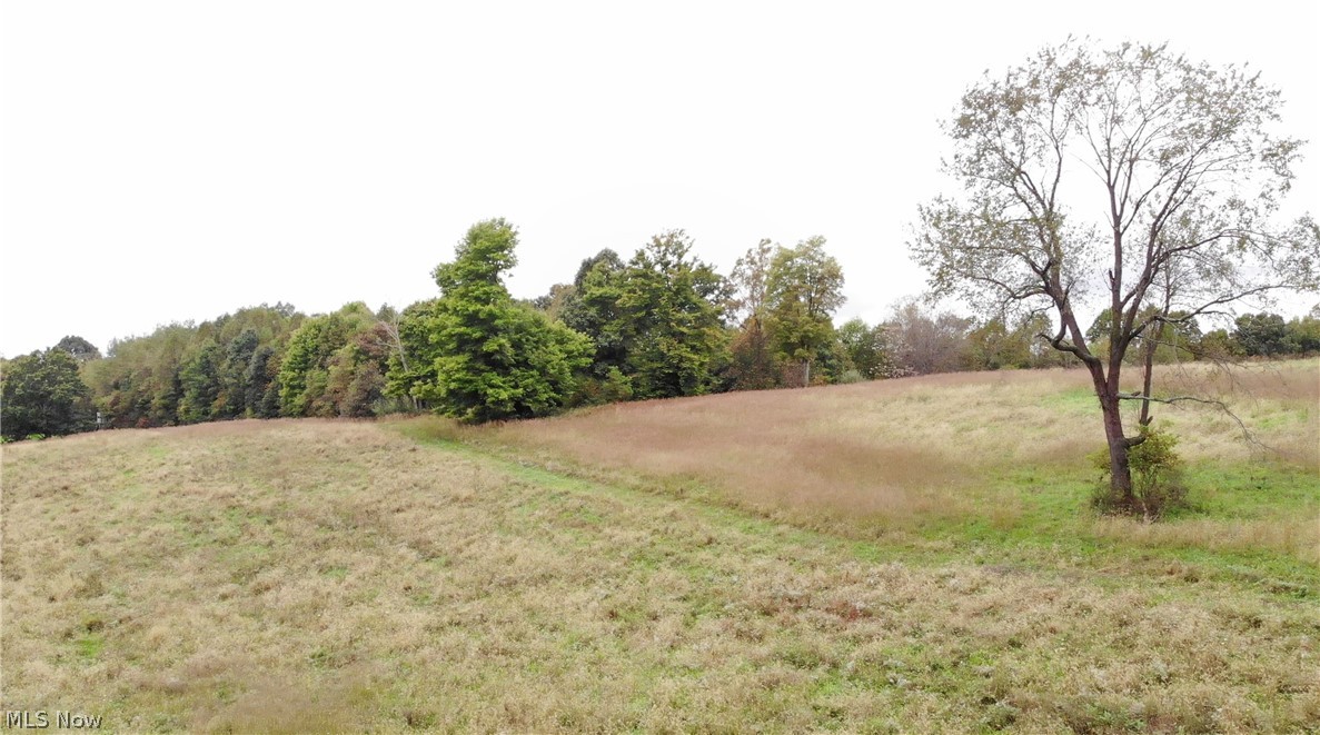 27320 Westchester Road Freeport, OH 43973 - Photo 21 of 35 Gallery Image 21