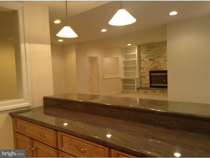 385 South Warner Road Wayne, PA 19087 - Photo 15 of 25 Basement - Finished