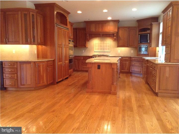 385 South Warner Road Wayne, PA 19087 - Photo 3 of 25 Kitchen