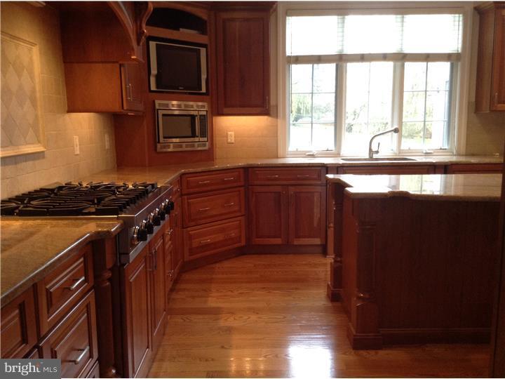 385 South Warner Road Wayne, PA 19087 - Photo 6 of 25 Kitchen