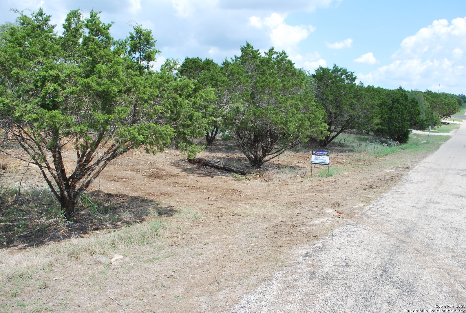 a view of a yard with a tree