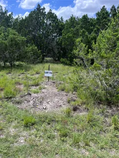 a view of a green field with lots of bushes