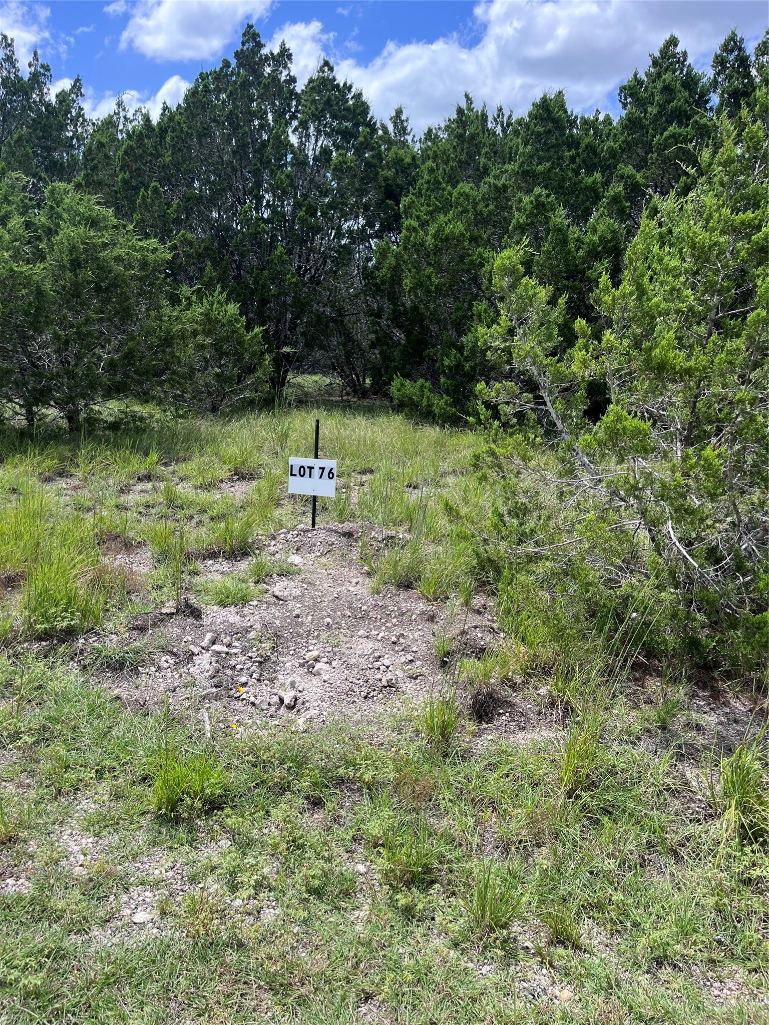 76 Balcones Ridge Way Bertram, TX 78605 - Photo 5 of 15 a view of a green field with lots of bushes
