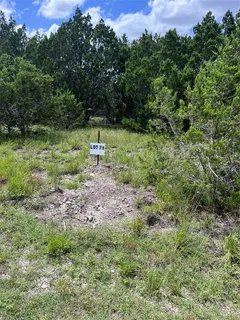 a view of a green field with lots of bushes