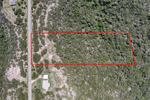 a close up of a plant