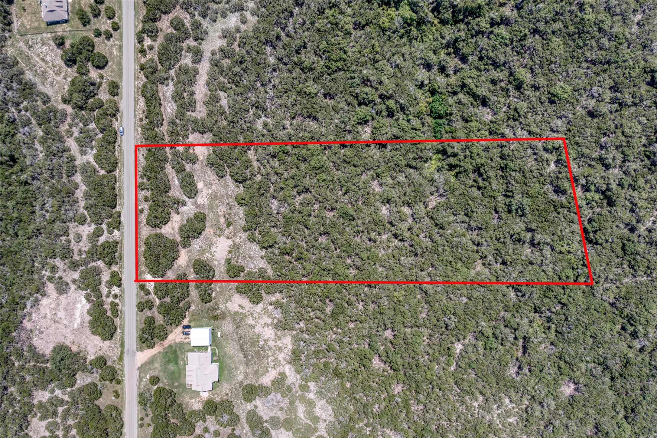 76 Balcones Ridge Way Bertram, TX 78605 - Photo 8 of 15 a close up of a plant