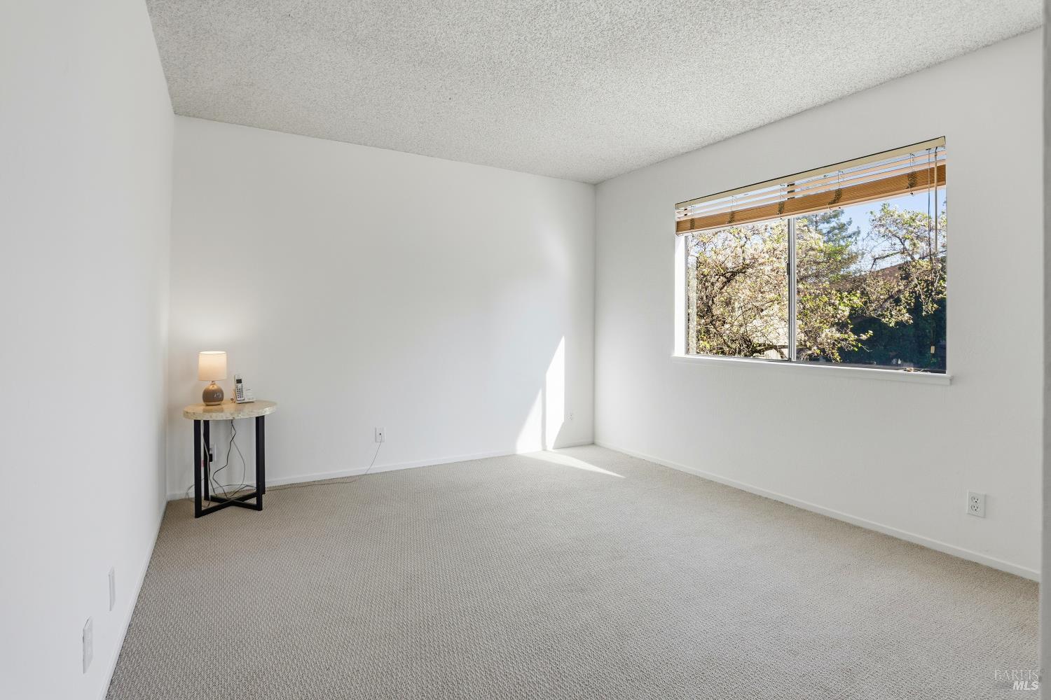 314 Silvio Lane Novato, CA 94947 - Photo 12 of 18