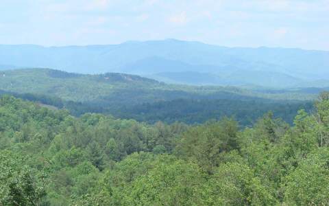 5 Buck Ridge Drive Murphy, NC 28906 - Photo 1 of 1 Main View