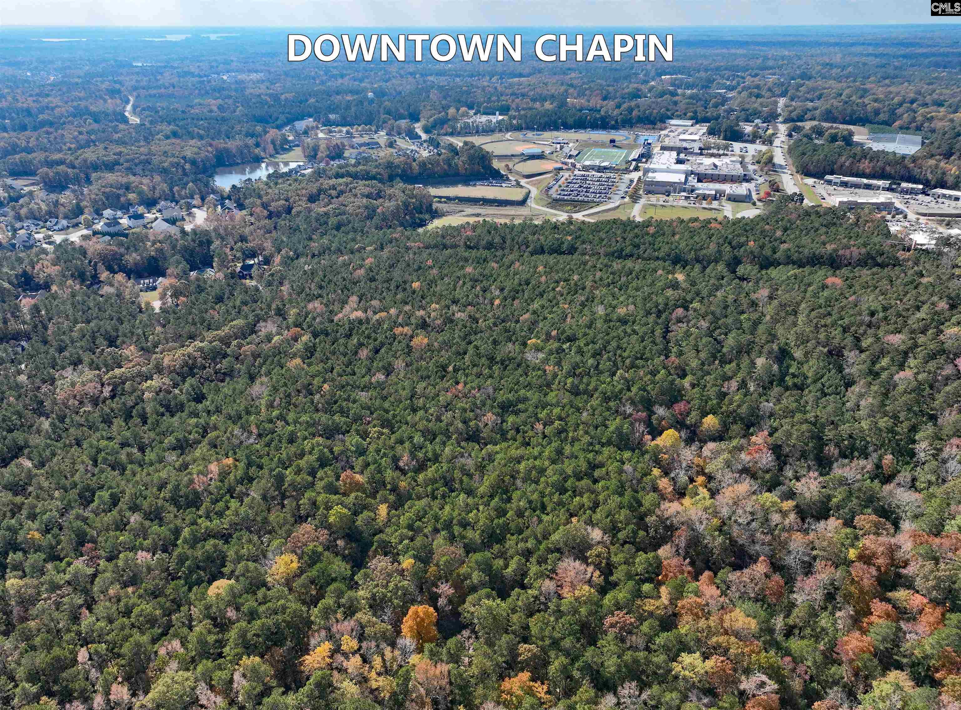 0 Woodthrush Road Chapin, SC 29036 - Photo 3 of 8
