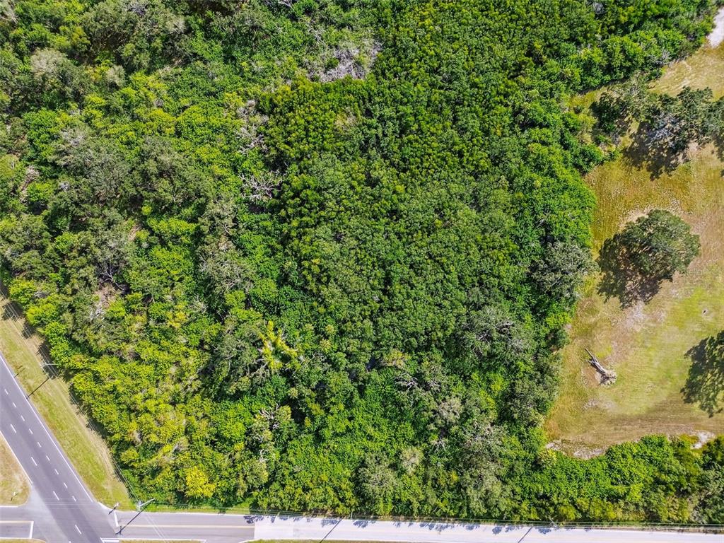 575 Terra Ceia Road Terra Ceia, FL 34250 - Photo 20 of 21 a view of a garden