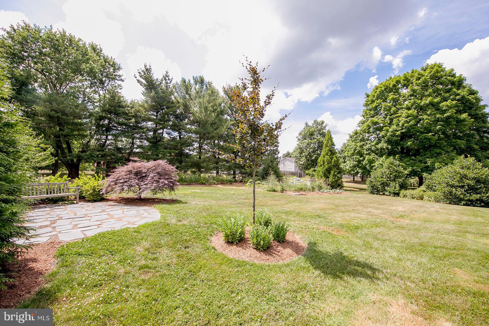 103 Longcroft Road Winchester, VA 22602 - Photo 4 of 52 Mature landscaping and private surroundings