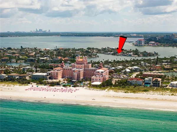 a view of a bunch of flowers