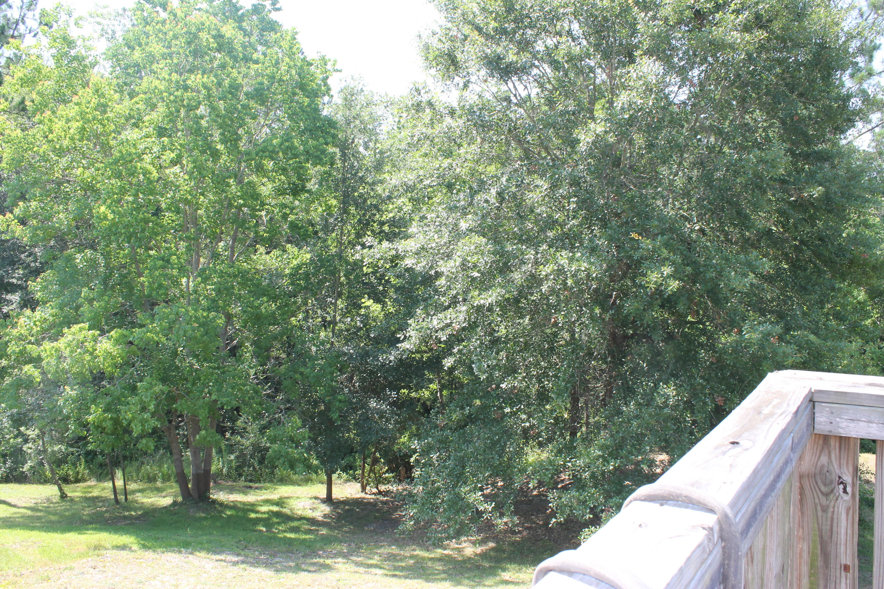 213 Foxchase Way Crestview, FL 32536 - Photo 28 of 34 a view of a forest with trees