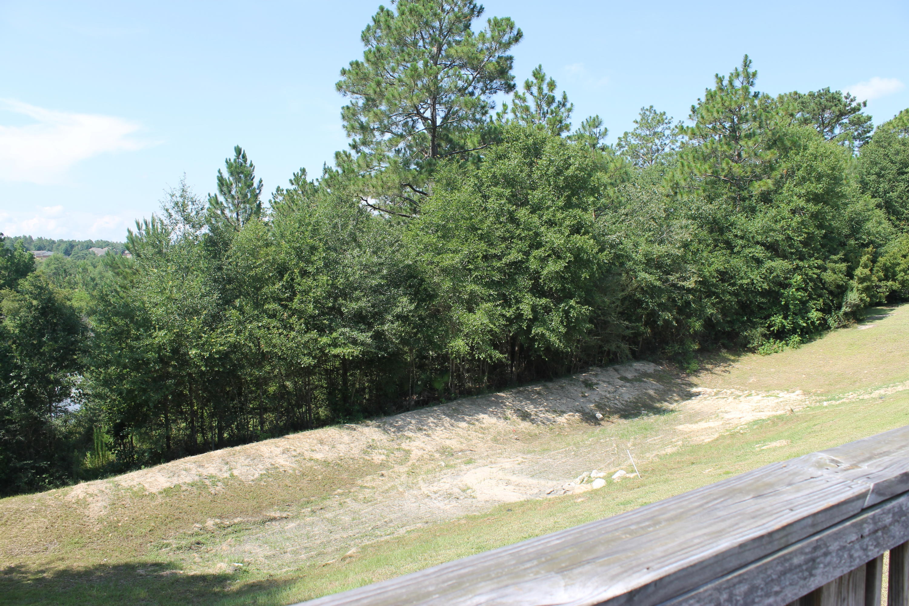 213 Foxchase Way Crestview, FL 32536 - Photo 29 of 34 a view of a yard with a tree