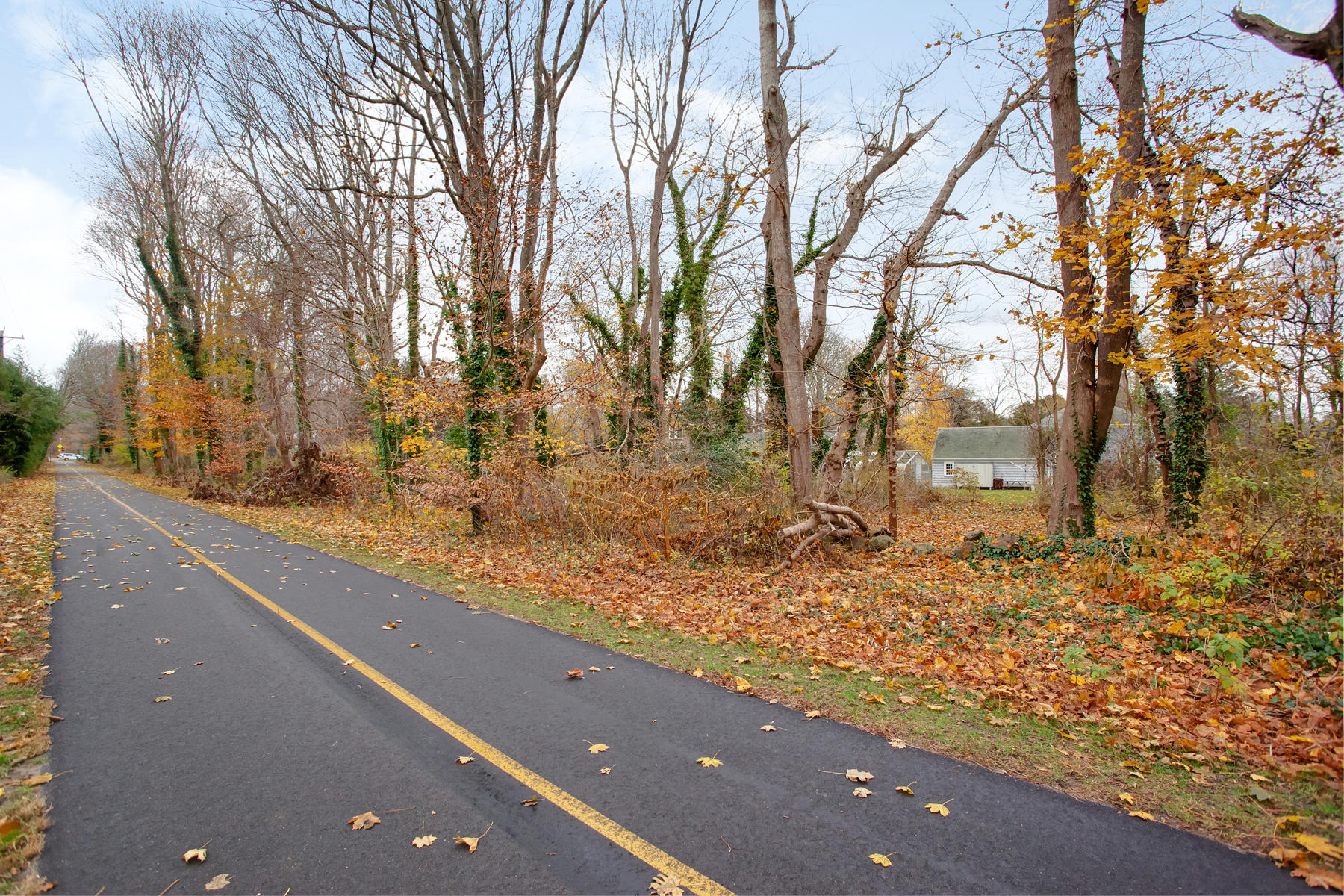 77 Mill Road Falmouth, MA 02540 - Photo 28 of 30 Bike Path Access from Back Yard