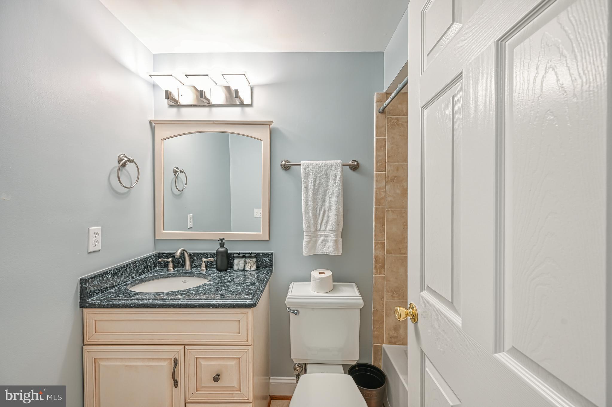 845 Elnor Road Bumpass, VA 23024 - Photo 47 of 111 Lower Level Full Bath with Tub Shower