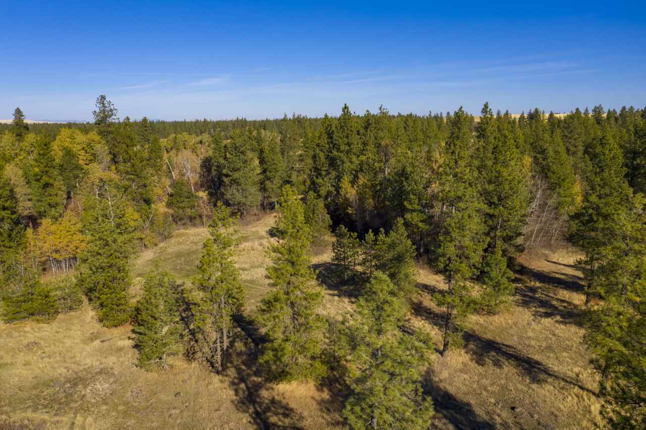 Xxxx West Fancher Road Edwall, WA 99008 - Photo 24 of 39