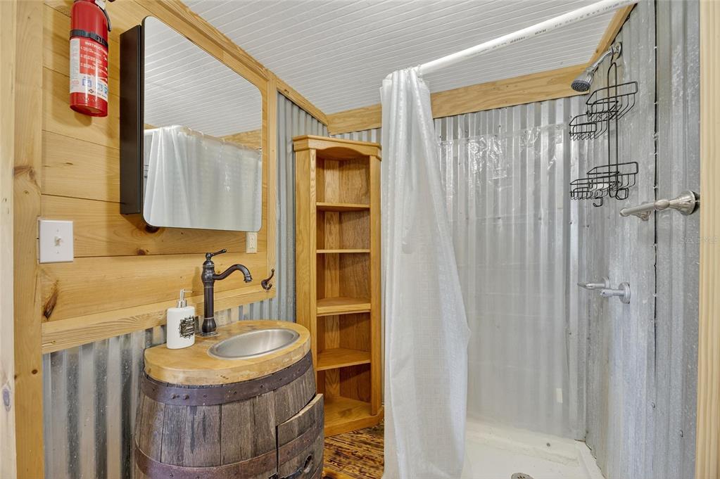 4416 Pippin Road Plant City, FL 33567 - Photo 58 of 86 a bathroom with a sink a mirror and a shower