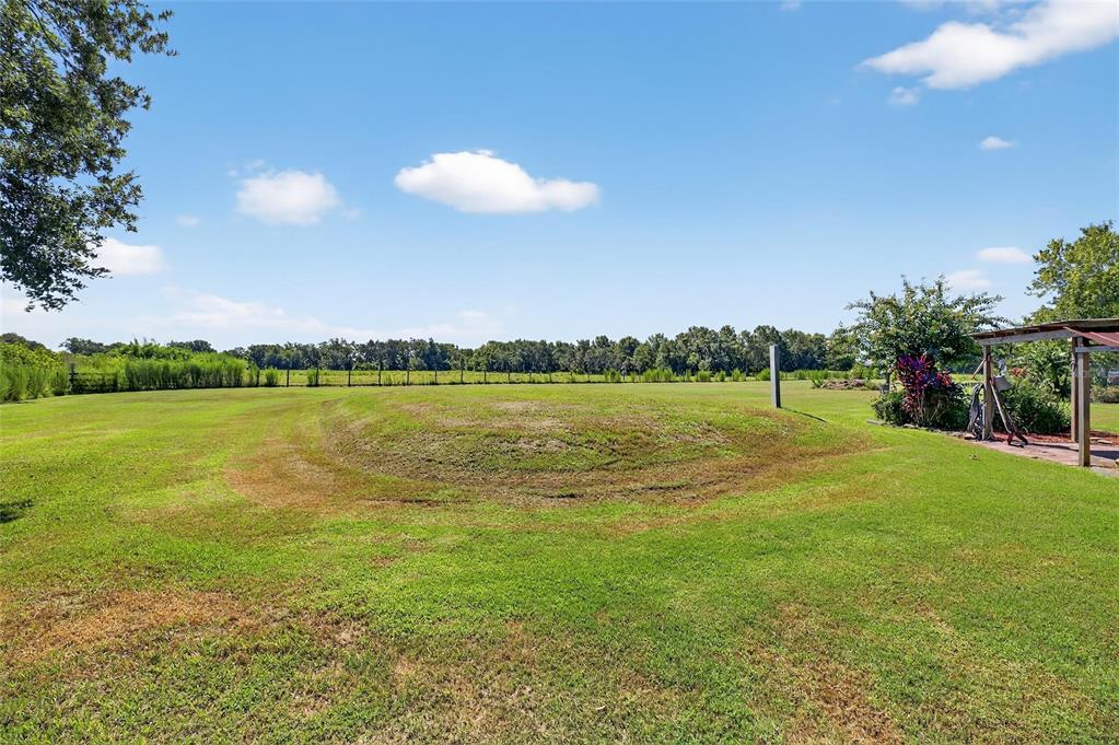 4416 Pippin Road Plant City, FL 33567 - Photo 64 of 86 a view of a lake with a big yard