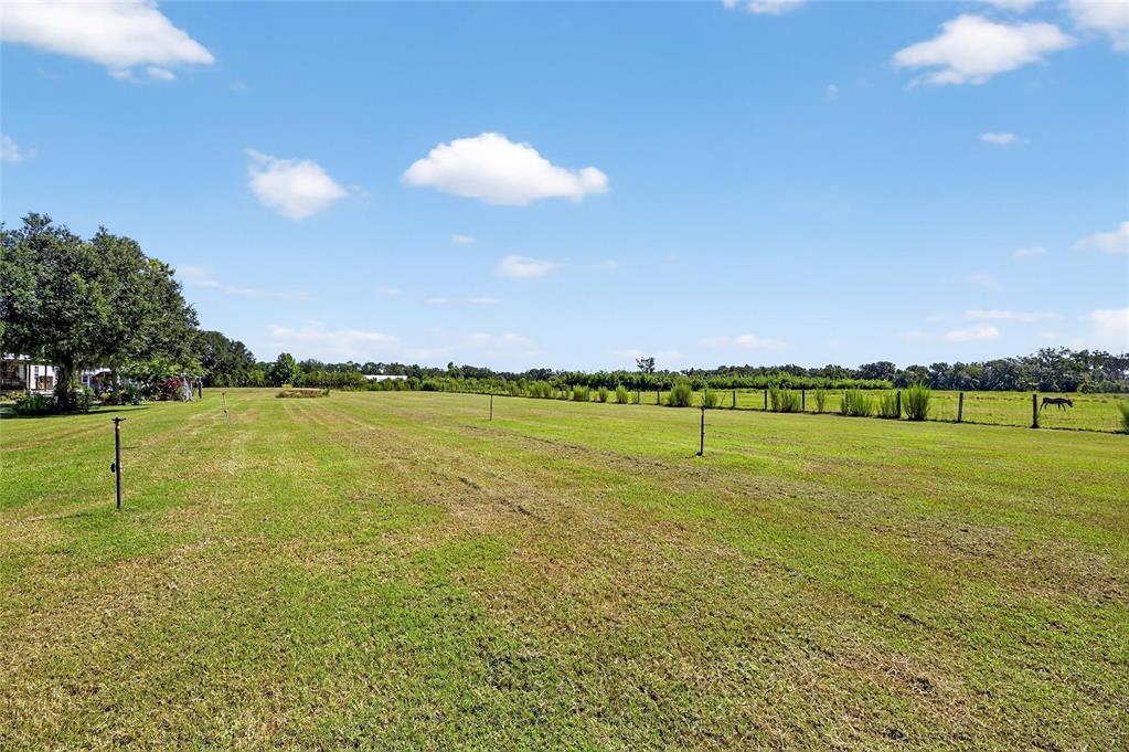 4416 Pippin Road Plant City, FL 33567 - Photo 66 of 86