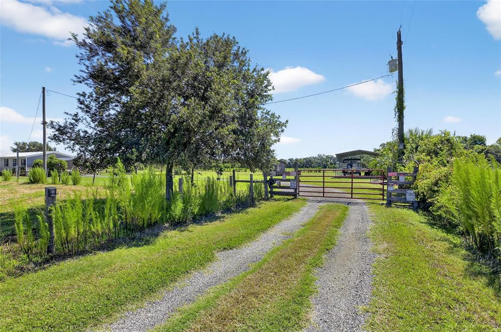 4416 Pippin Road Plant City, FL 33567 - Photo 68 of 86