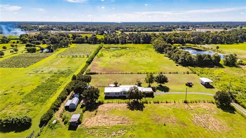 4416 Pippin Road Plant City, FL 33567 - Photo 70 of 86