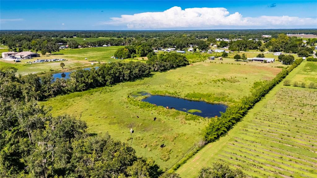 4416 Pippin Road Plant City, FL 33567 - Photo 71 of 86 a view of an outdoor space and a lake view