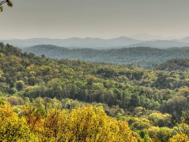 a view of a lush green field